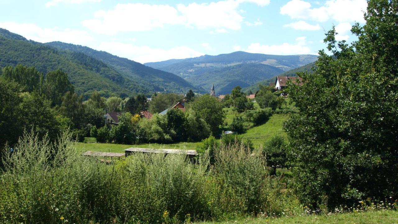 Gite Du Durrenbach Lautenbach Bagian luar foto